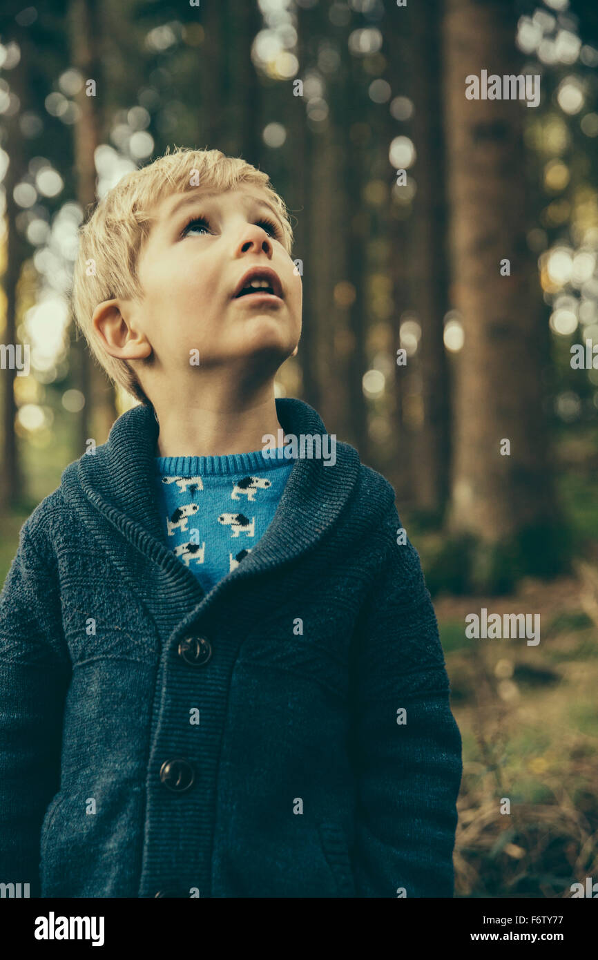 Little Boy standing in forest looking up in wonder Banque D'Images