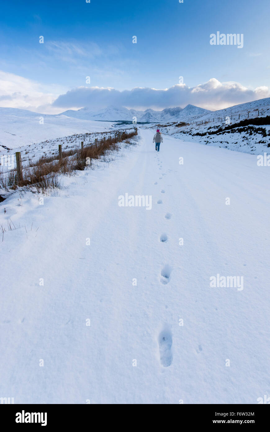 Grande Bretagne, Ecosse, île de Skye, Footprints in snow Banque D'Images