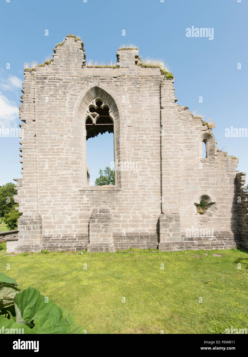 Alvastra monastery ruine en océan, la Suède. Banque D'Images