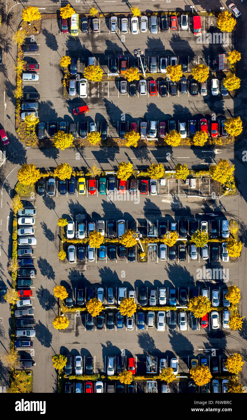 Le magasin de meubles Parking scooter avec des arbres à feuilles caduques avec feuillage de l'automne, Essen, Ruhr, Rhénanie du Nord-Westphalie, Allemagne, Banque D'Images