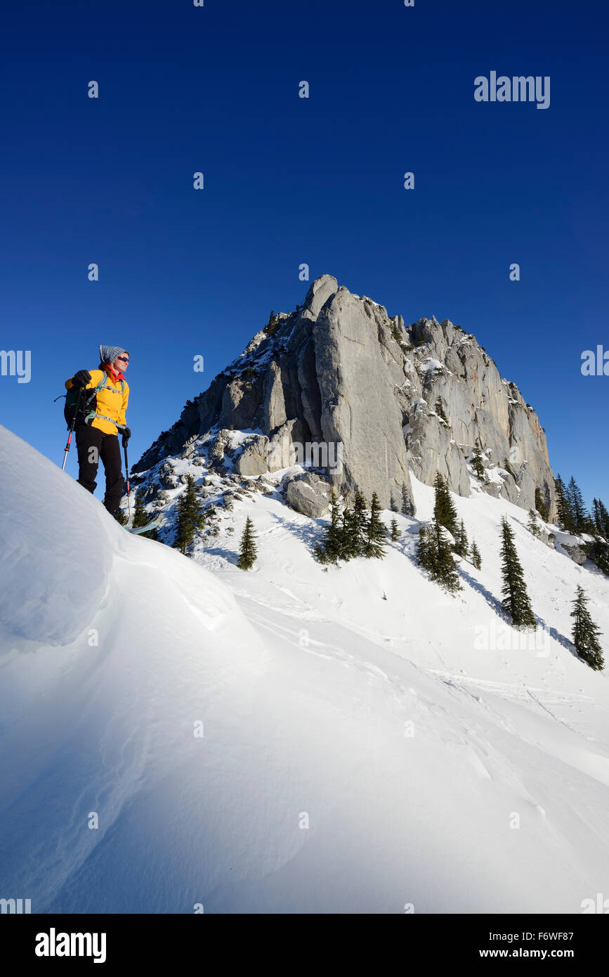 Femme debout skieur d'arrière-pays en face du mont Blankenstein, Alpes bavaroises, Upper Bavaria, Bavaria, Germany Banque D'Images