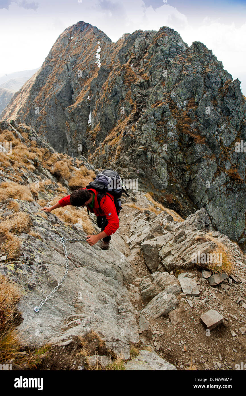 Mountaineer sur le chemin de la VF. Walkmühle, Fagaras Mountains, Transylvanie, Roumanie Banque D'Images