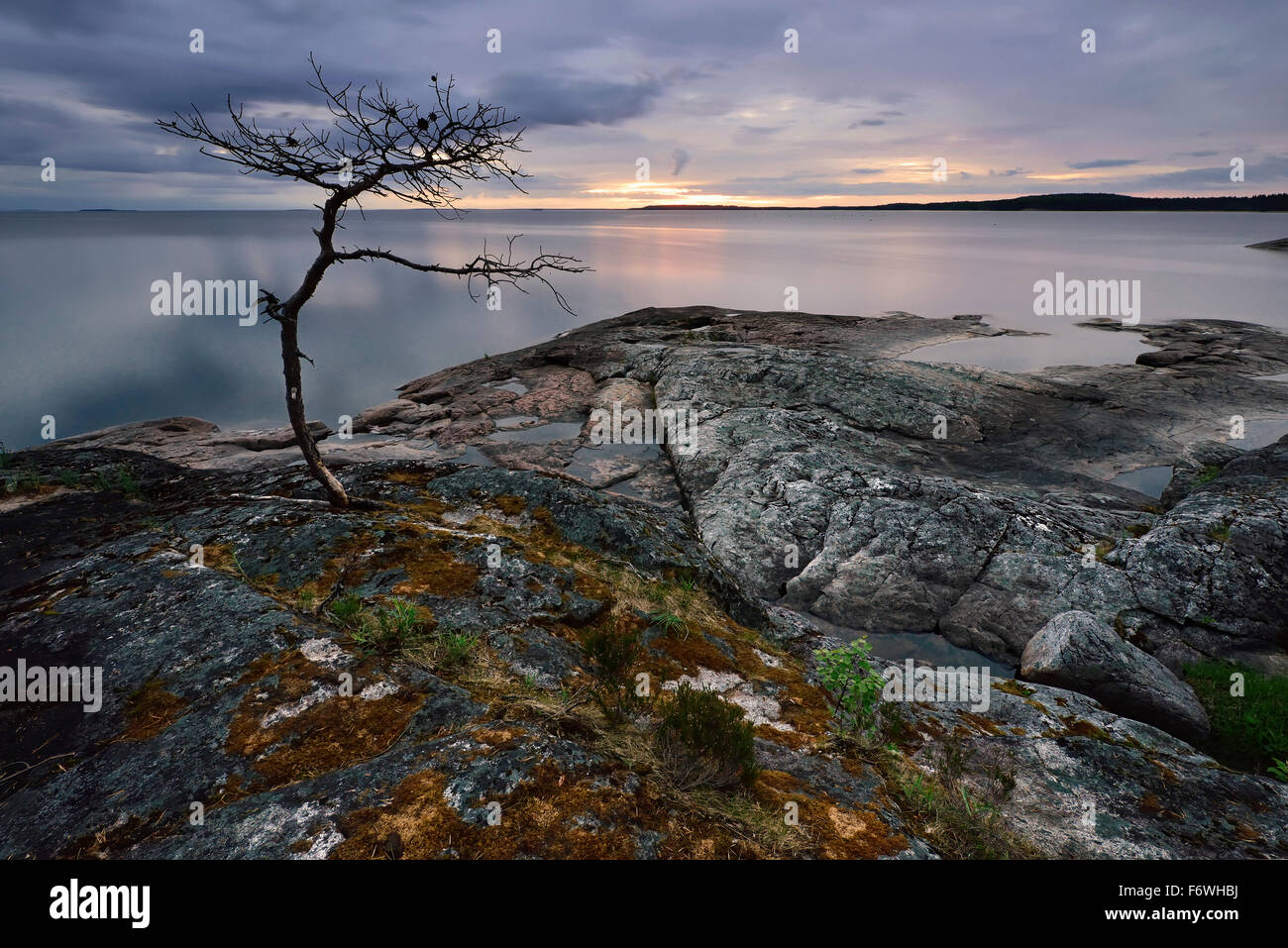Nuits blanches, rive du lac Onega, la République de Carélie, Russie Banque D'Images