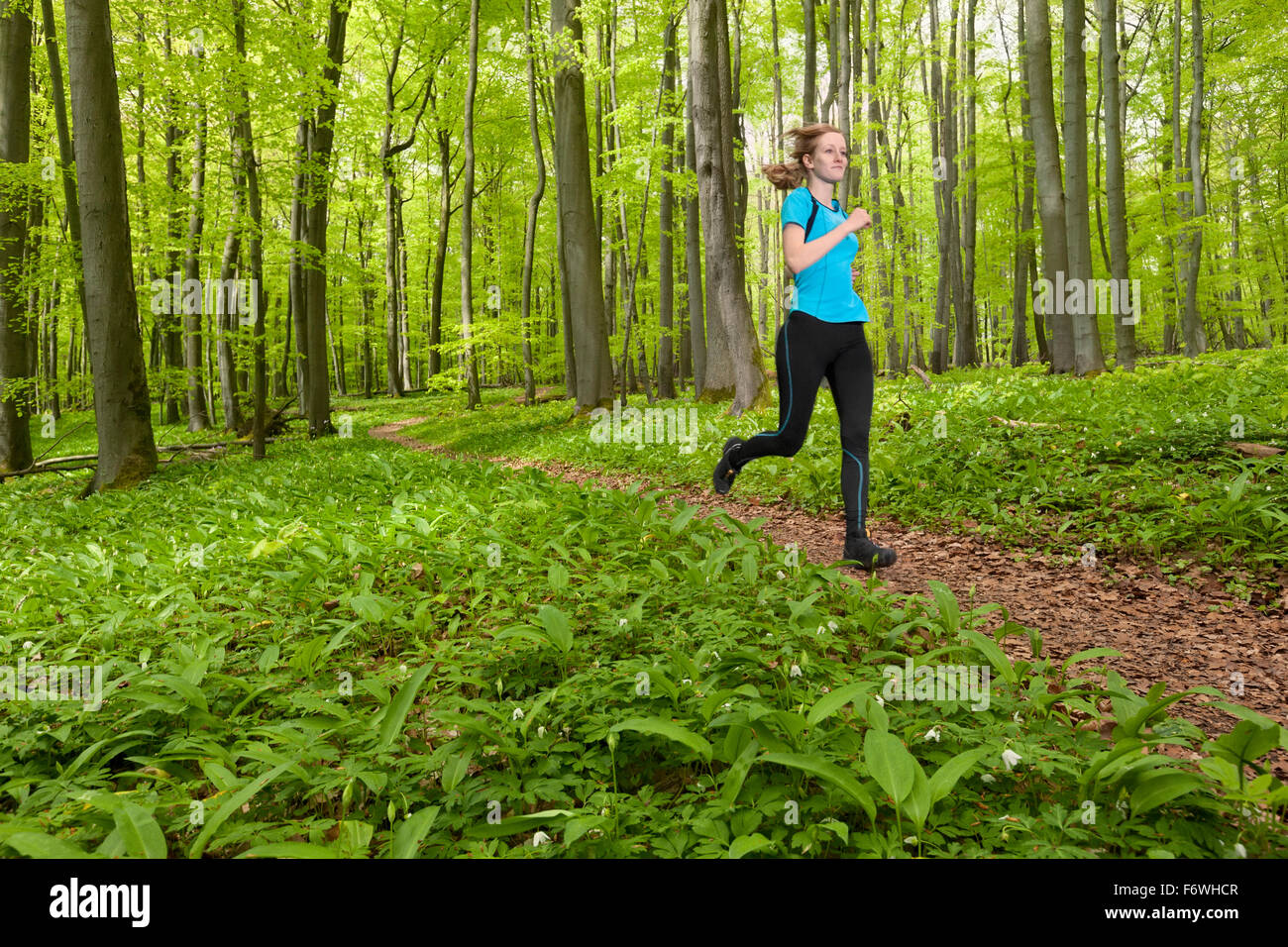 Young woman jogging dans une forêt de hêtres, Parc National, Hainich Thuringe, Allemagne Banque D'Images