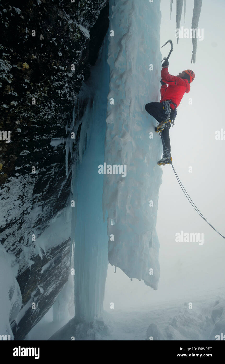 Grimpeur sur glace avec piolet Creag Meagaidh croissant, Highlands, Ecosse, Grande-Bretagne Banque D'Images