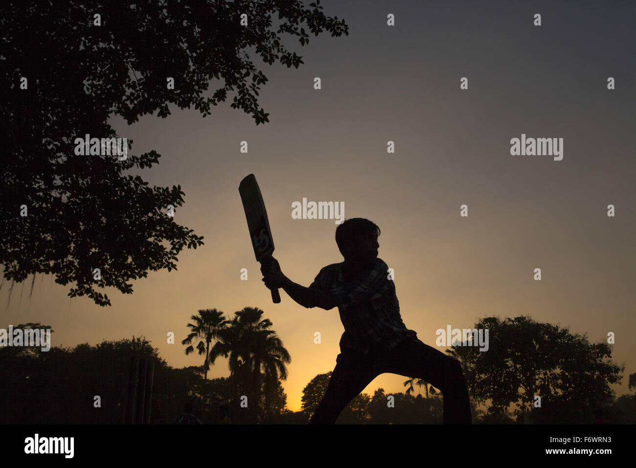 Dhaka, Bangladesh. 20 Nov, 2015. Un garçon à jouer au cricket dans un parc en soirée à Dhaka le 20 novembre 2015. © Zakir Hossain Chowdhury/ZUMA/Alamy Fil Live News Banque D'Images