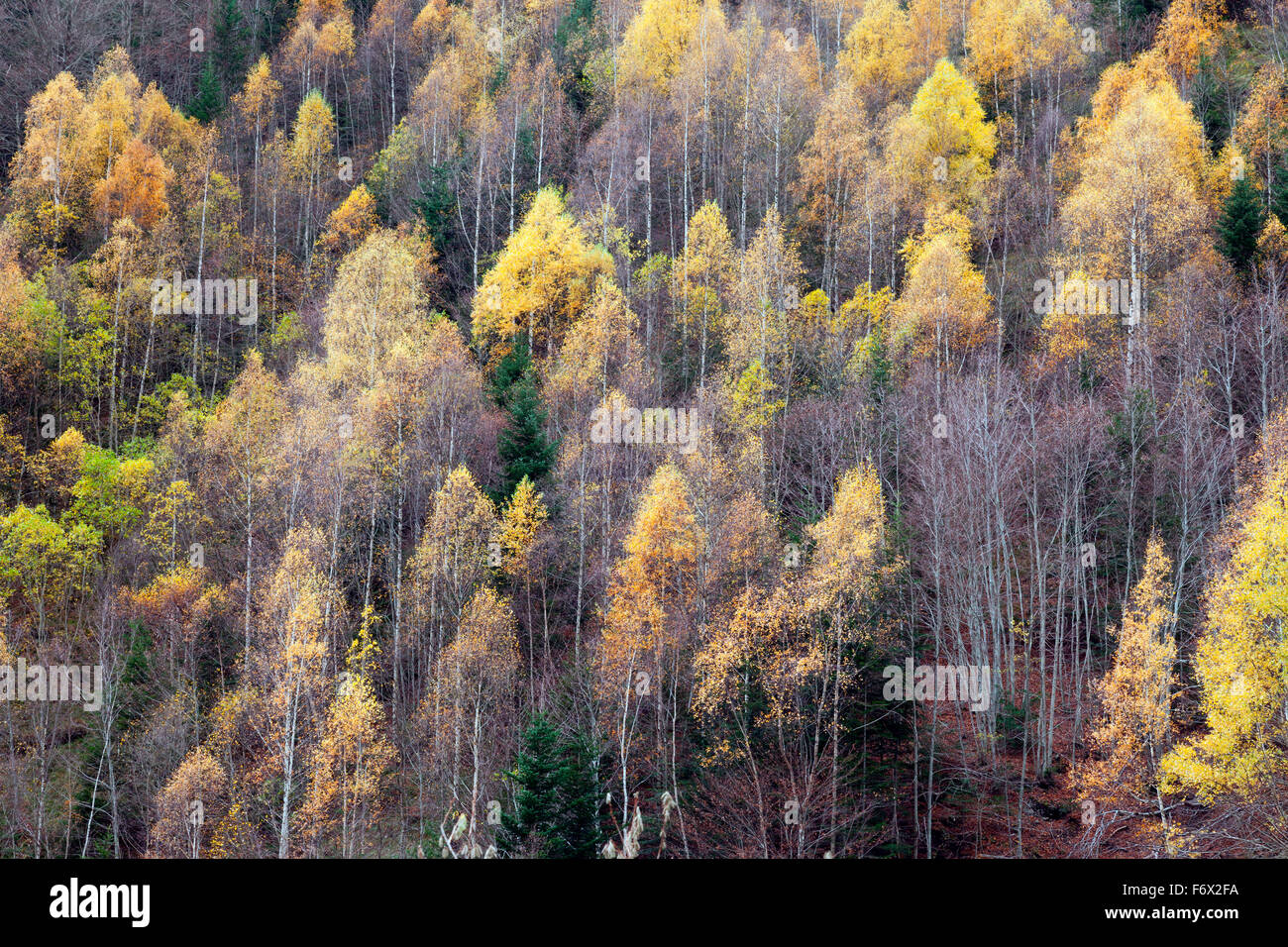 Parc national d'Ordesa et Monte Perdido. Banque D'Images