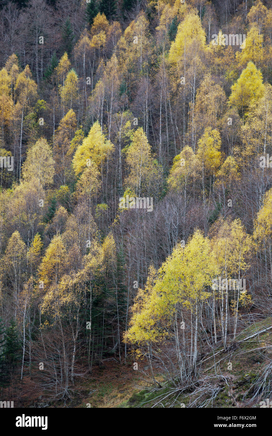 Parc national d'Ordesa et Monte Perdido. Banque D'Images