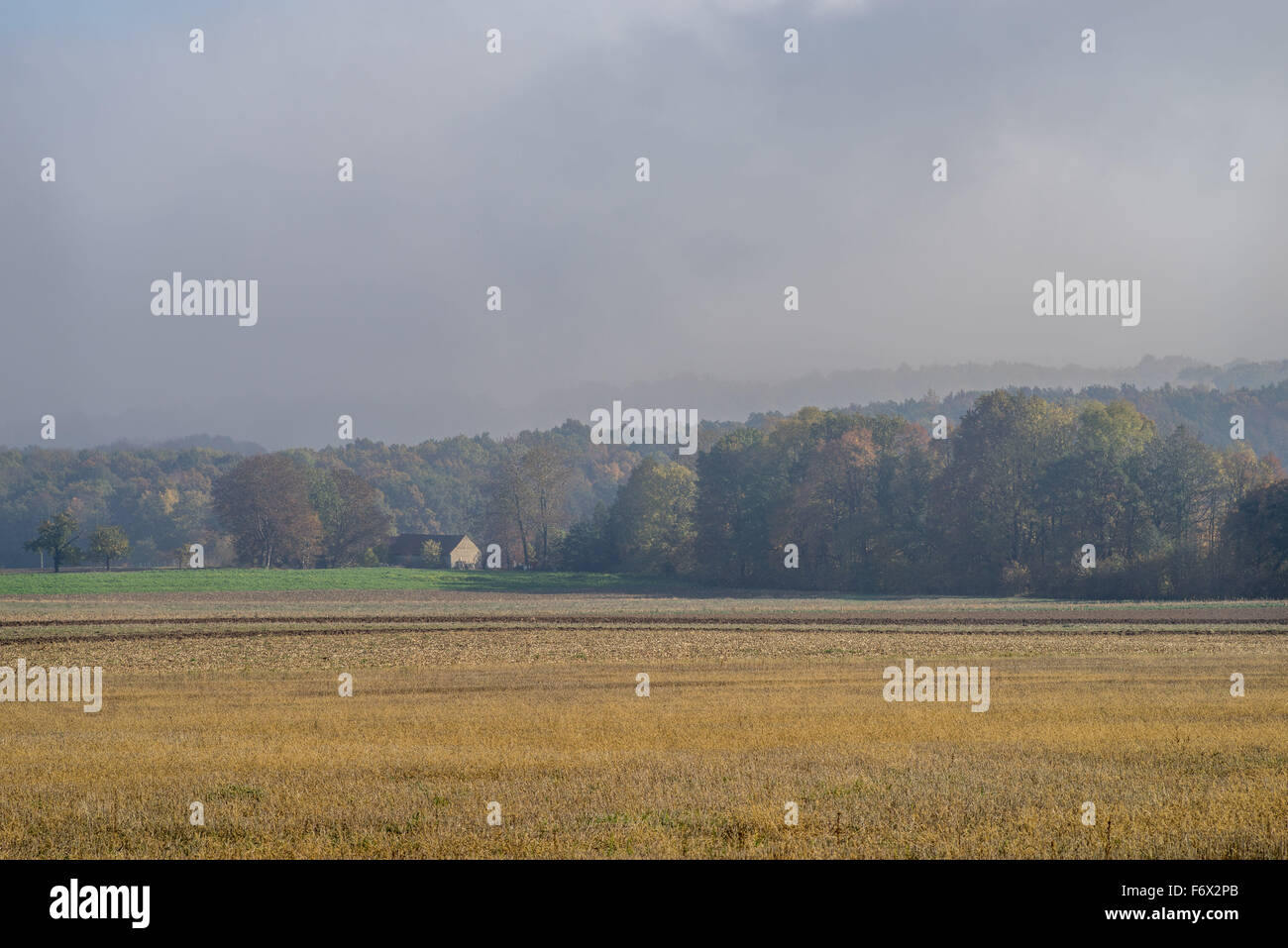 Paysage brumeux matin d'automne Basse Silésie Banque D'Images