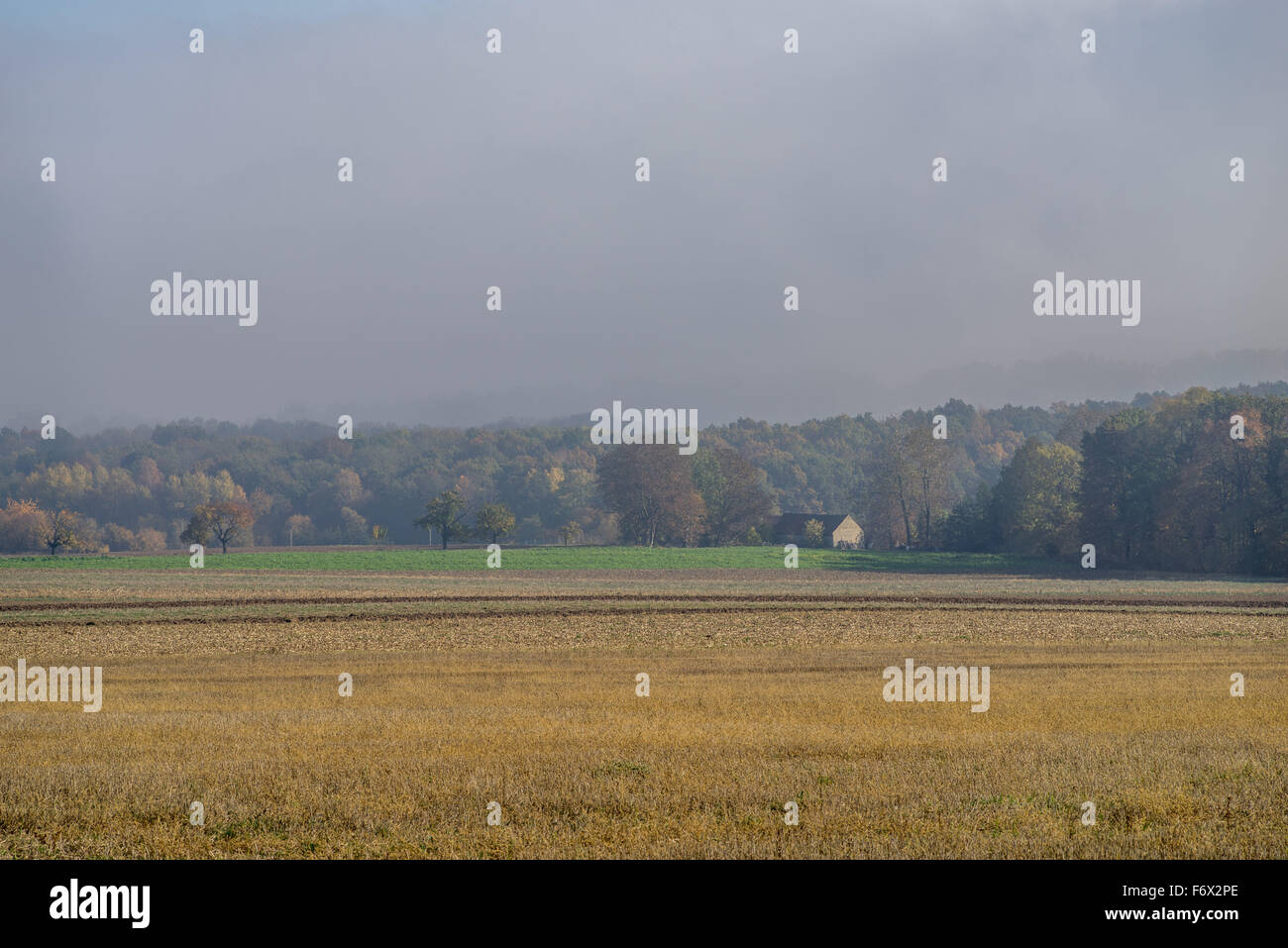 Paysage brumeux matin d'automne Basse Silésie Banque D'Images