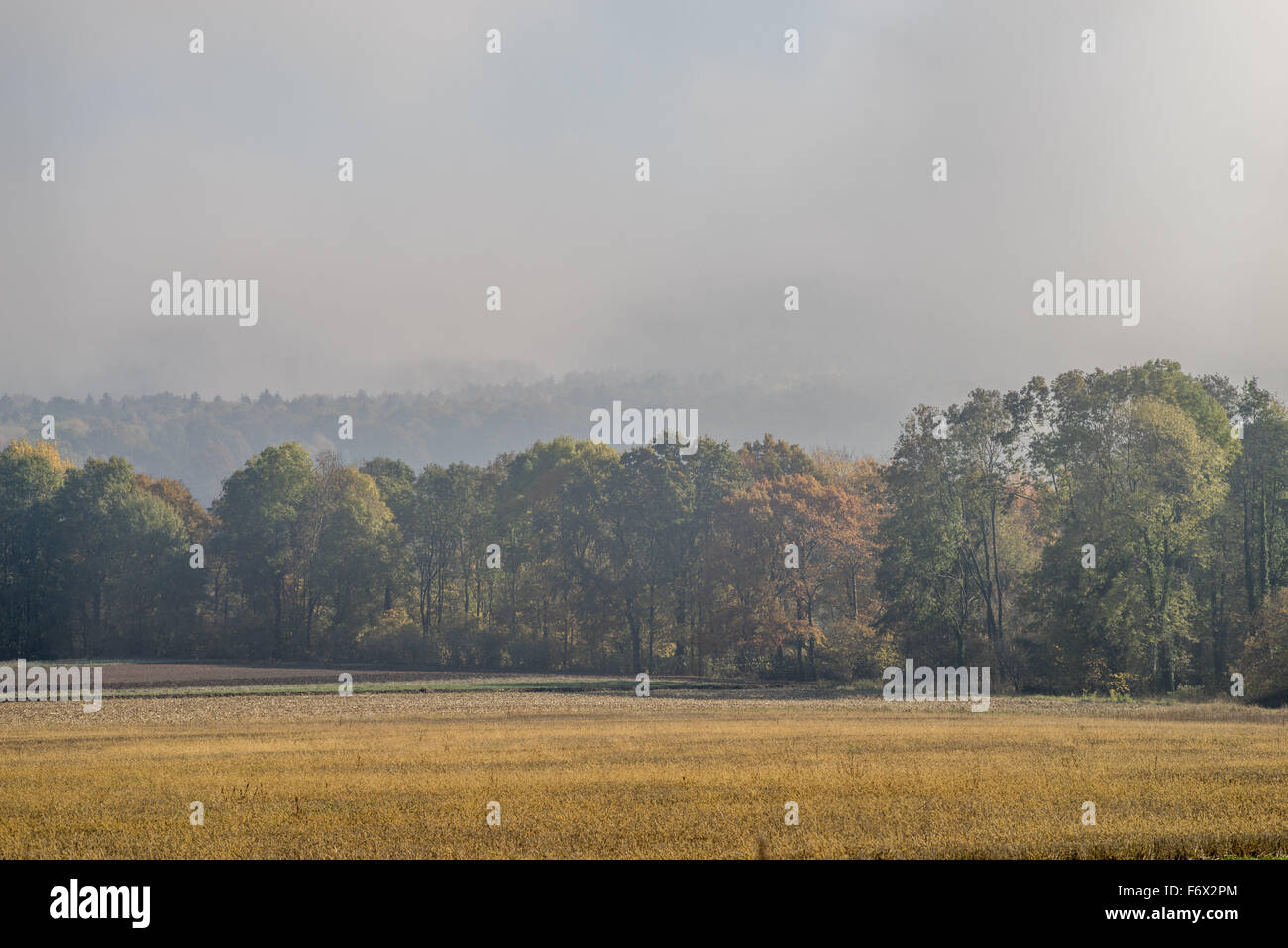 Paysage brumeux matin d'automne Basse Silésie Banque D'Images