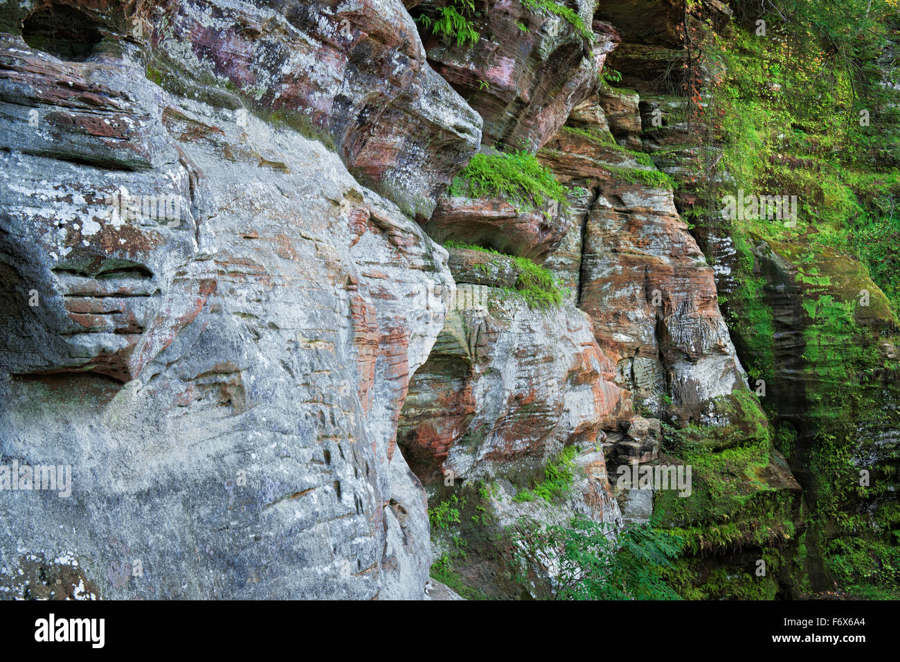 A un mile randonnée atteint les murs colorés de Blackhand au grès Rock House in Ohio's Parc d'État de Hocking Hills. Banque D'Images