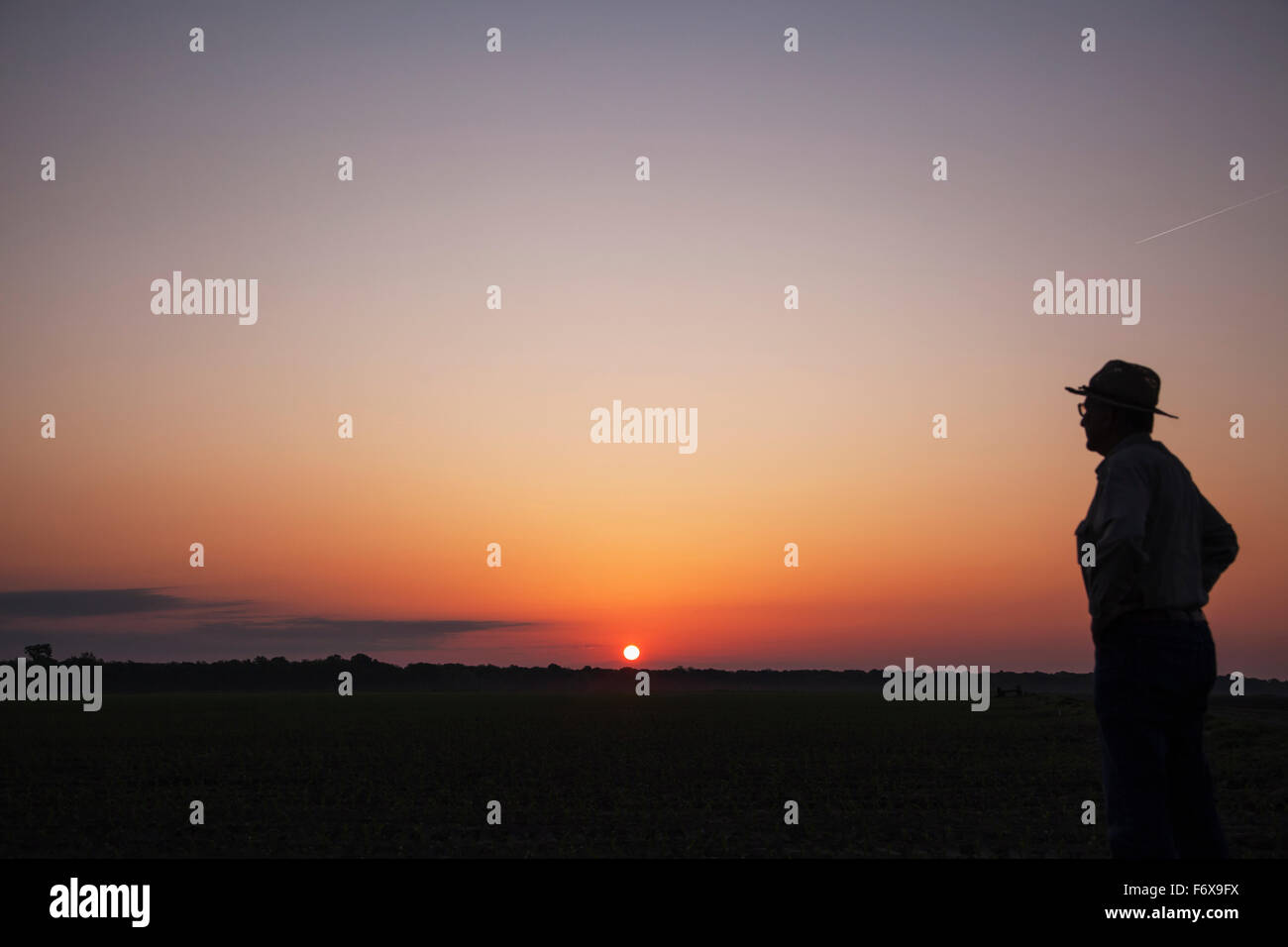 Contrôle de l'agriculteur de son champ de maïs semis comme soleil se lève, l'Angleterre, Arkansas, États-Unis d'Amérique Banque D'Images