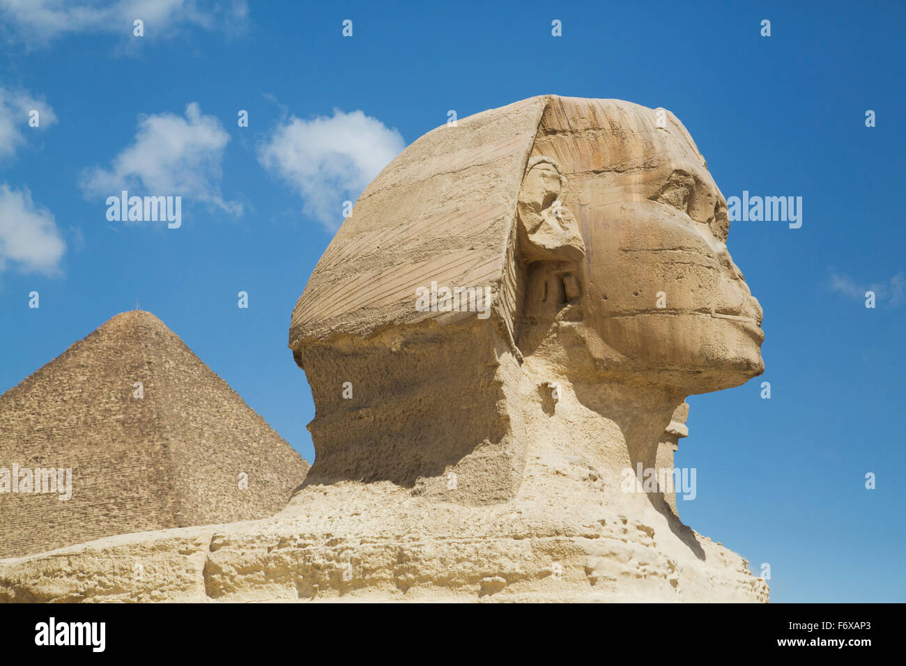 Sphinx (premier plan), grande pyramide de Khéops (arrière-plan), les pyramides de Gizeh, Giza, Egypte Banque D'Images