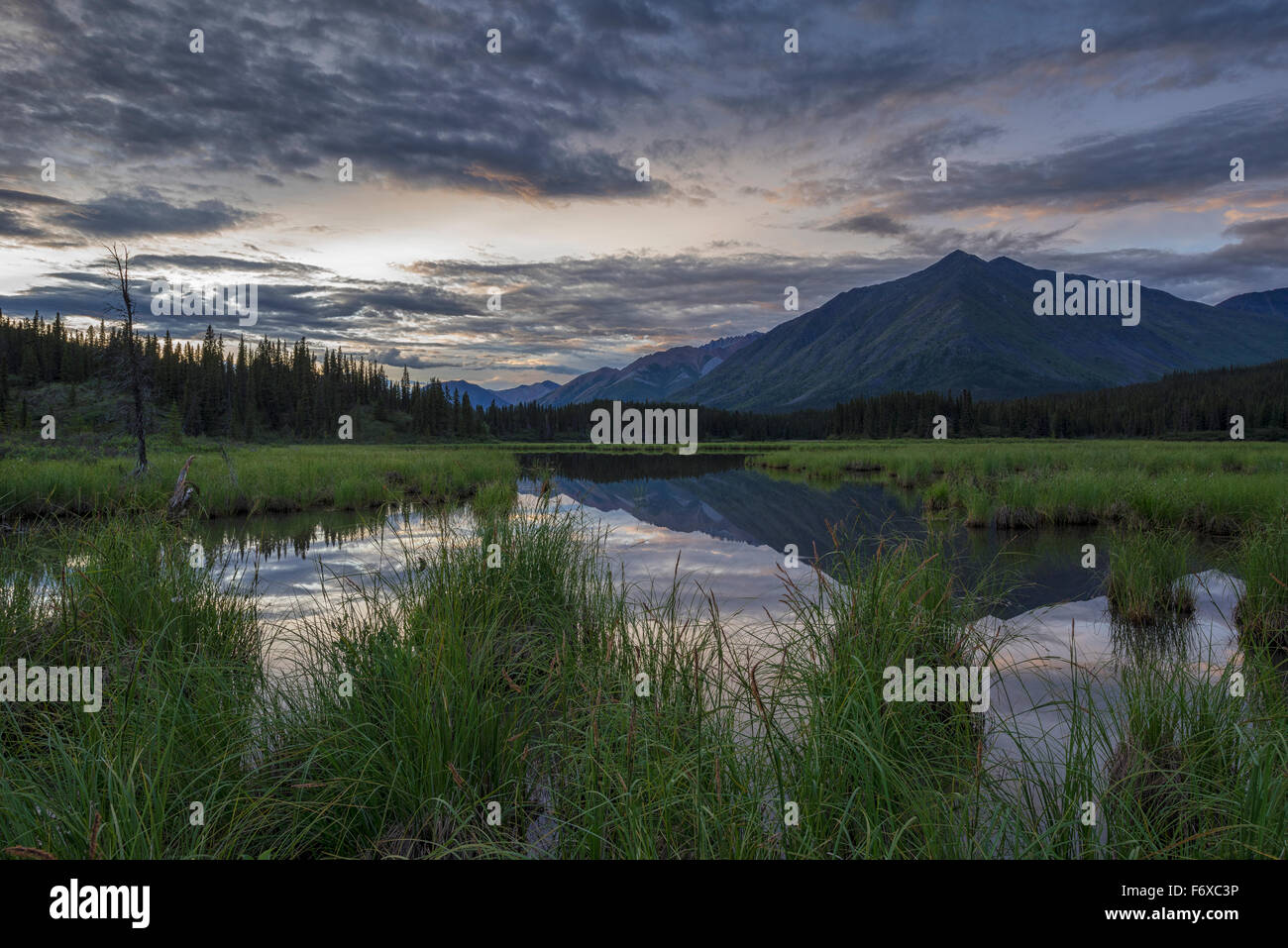 Le soleil se couche sur un petit étang qui se trouve à côté de la Wind River dans le bassin hydrographique de la rivière Peel ; Yukon, Canada Banque D'Images