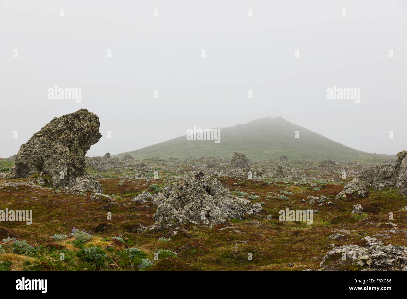 Des formations de roche altérée sur la toundra sur un temps couvert de brouillard, l'île Saint-Paul, le sud-ouest de l'Alaska, USA, l'été Banque D'Images