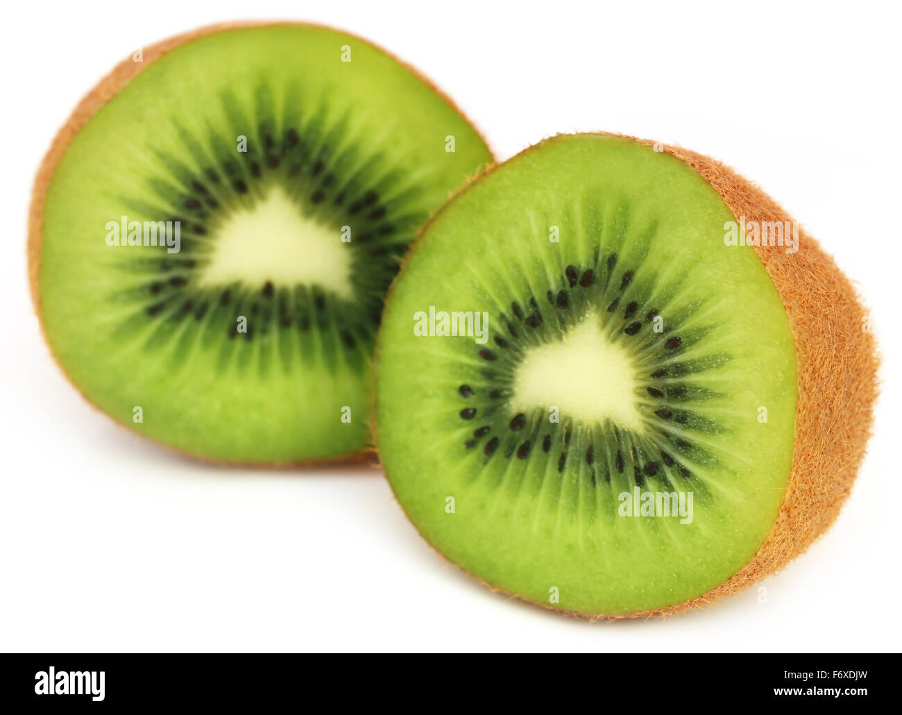 Les kiwis sur fond blanc Banque D'Images