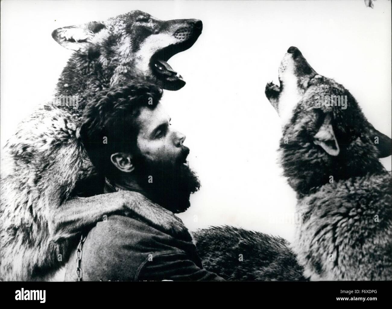 1962 Une fois de plus de loups dans la forêt bavaroise, WAllemagne