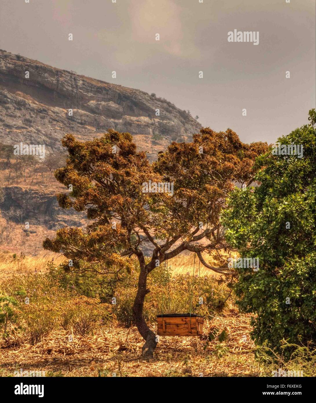 Un style Malawites ruche vu dans un village près de Chongoni forêt près de Dedza, Malawi, Afrique Banque D'Images