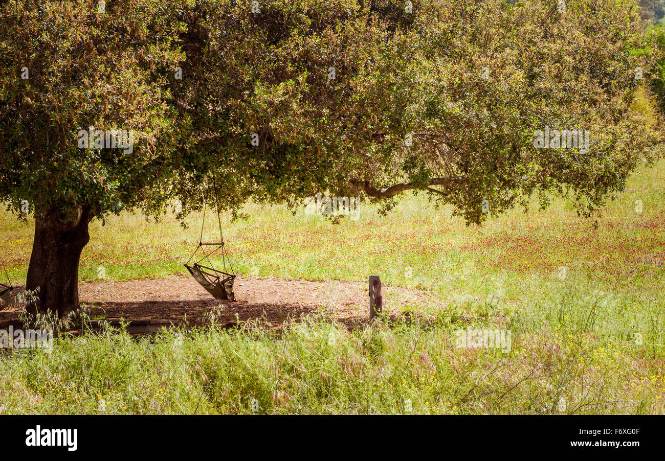 Au calme dans la région de Sonoma Wine Country, en Californie Banque D'Images