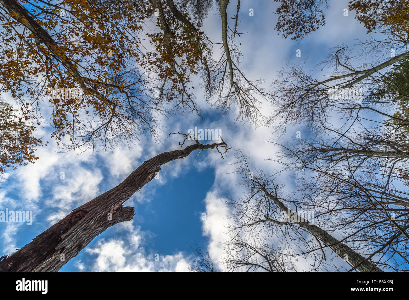 Les images d'automne de Minnewaska State Park NY Banque D'Images