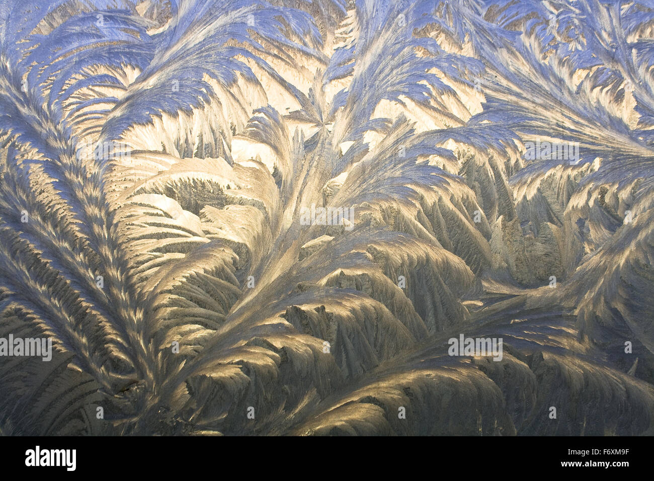 Modèle de glace sur une fenêtre en hiver Banque D'Images