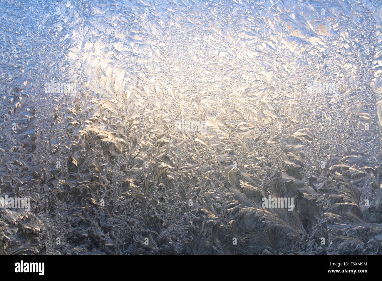 Modèle de glace sur une fenêtre en hiver Banque D'Images