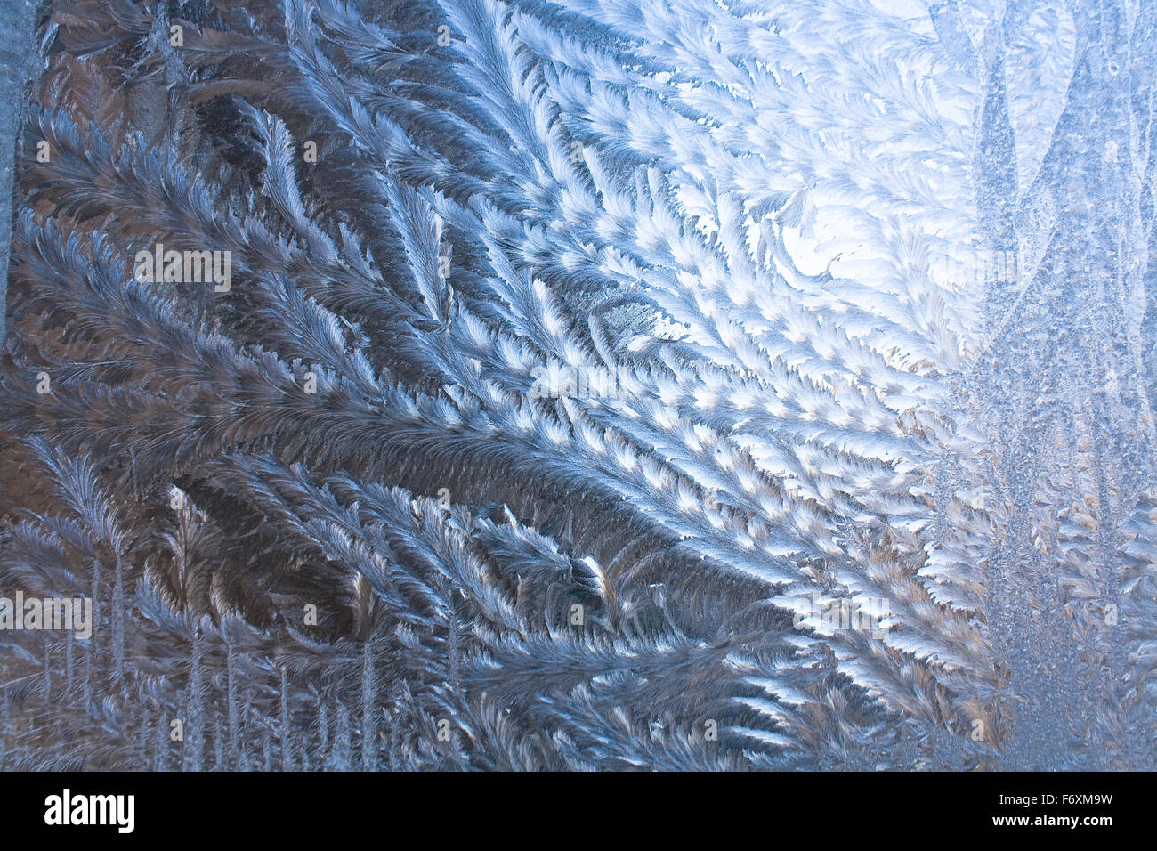 Modèle de glace sur une fenêtre en hiver Banque D'Images