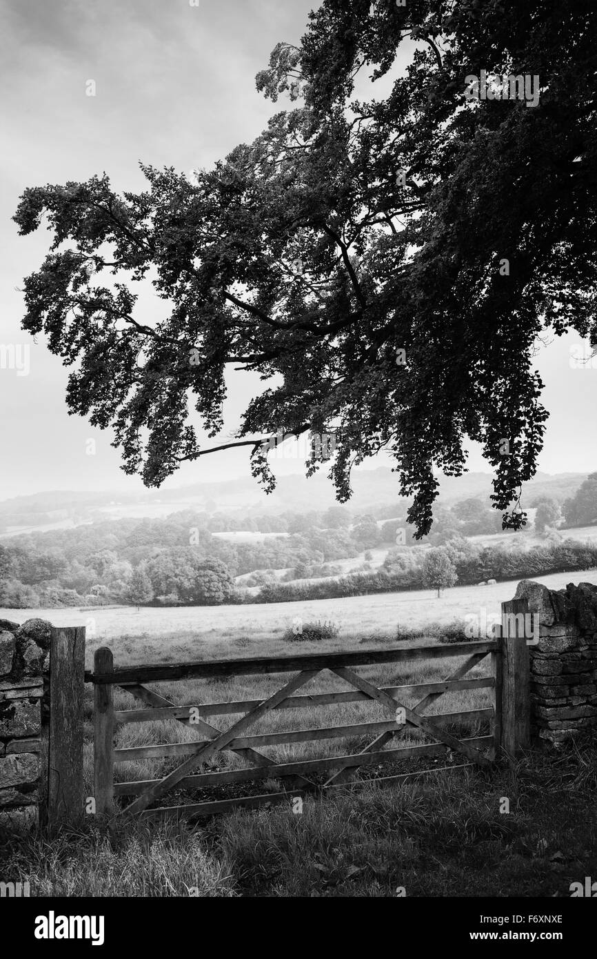 Vue sur la campagne anglaise sur une barrière en bois Banque D'Images