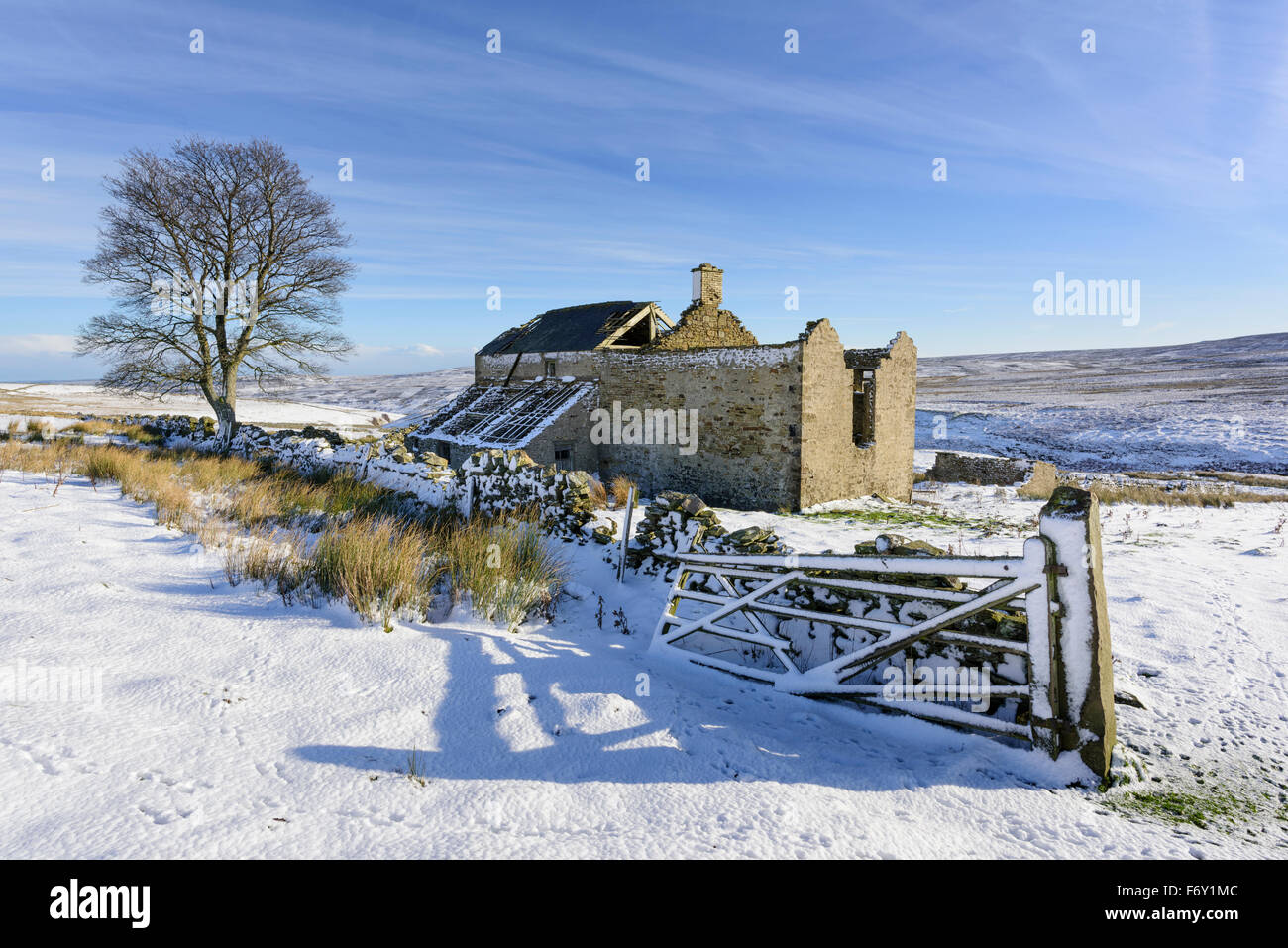 Edmundbyers commun, Co Durham, Royaume-Uni. 21 Nov, 2015. Matinée du 21 novembre 2015 et la Première neige de l'hiver à Sandyford sur Edmundbyers commune dans le comté de Durham. Credit : Clearview/Alamy Live News Banque D'Images