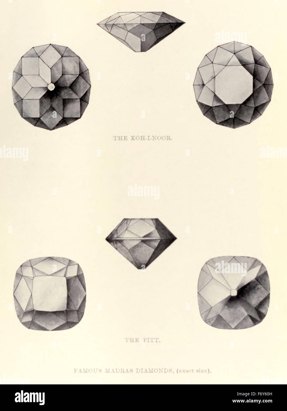 Dessins de 'Le Koh-i-noor" et "The Pitt" diamants Madras esquissés par le Dr Max Bauer à partir de son livre "Pierres" publié en 1904. Voir la description pour plus d'informations. Banque D'Images