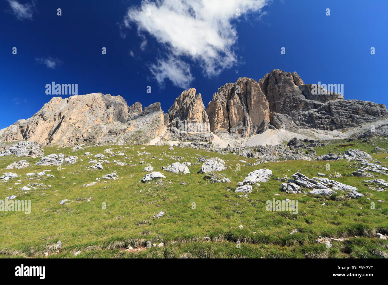 Vue d'été de mont Sassolungo et Sassopiatto, Vallée de Fassa, Trentin, Italie Banque D'Images