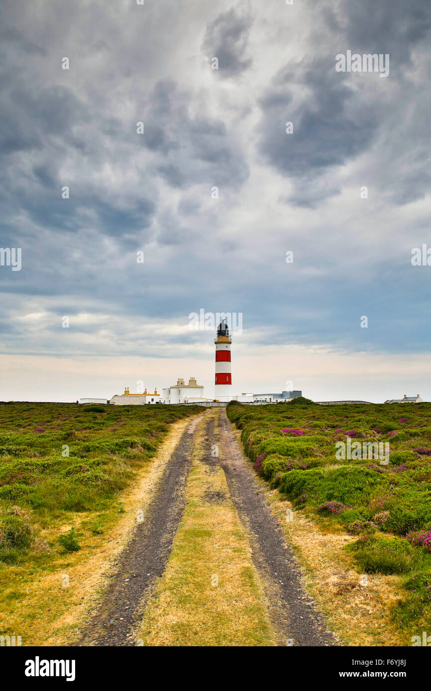 Point d'Ayre ; Lighthouse ; Ile de Man, Royaume-Uni Banque D'Images