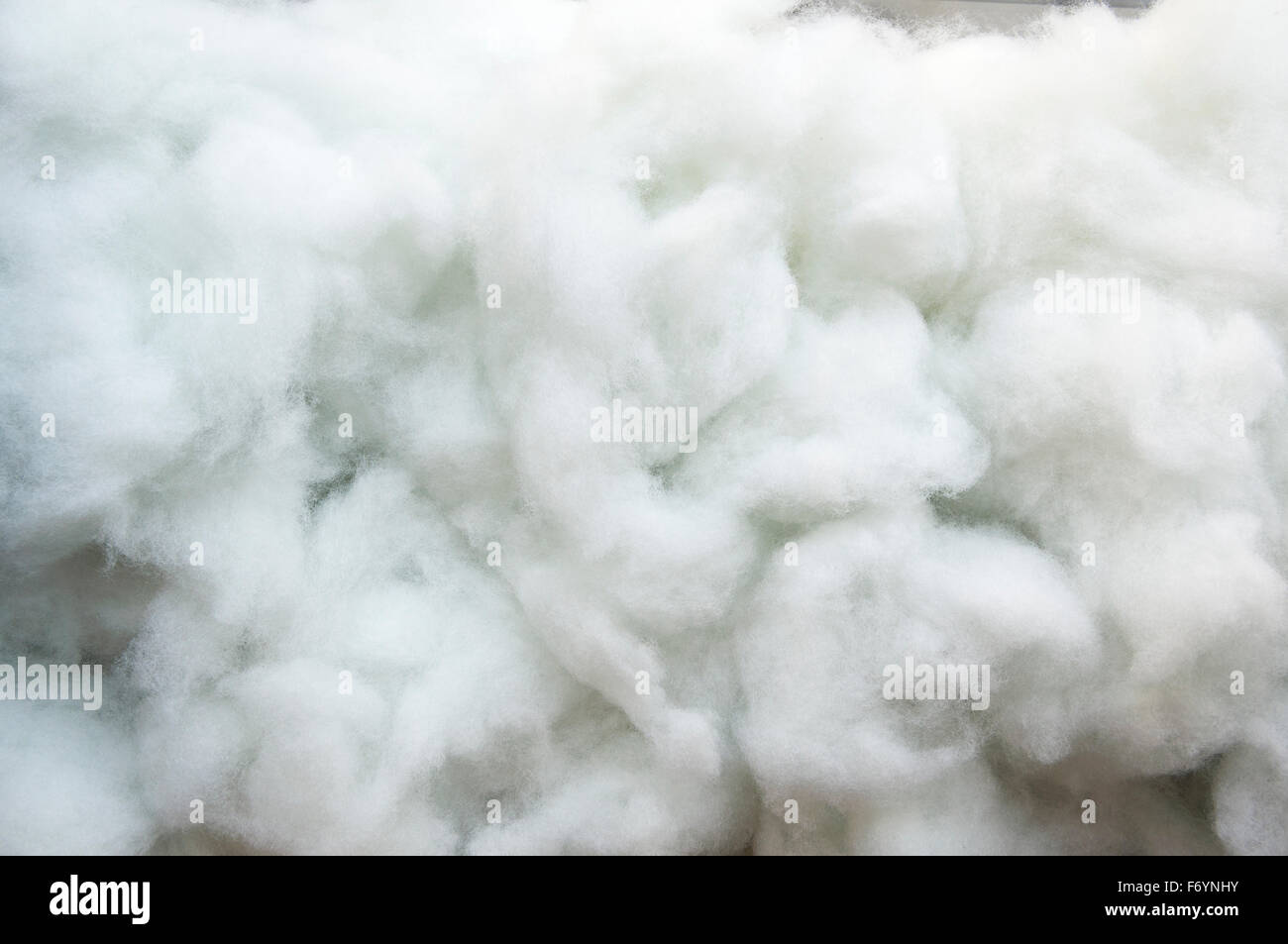 La laine de coton doux blanc propre détail texture Banque D'Images
