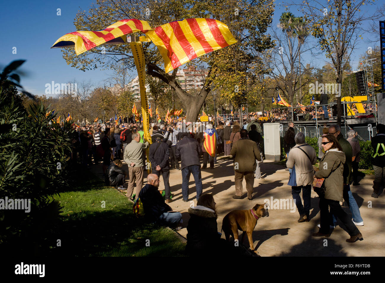 Barcelone, Catalogne, Espagne. 22 Nov, 2015. En ce dimanche ensoleillé catalan drapeaux sont vus dans le parc de la Ciutadella de Barcelone, Espagne, le 22 novembre, 2015. Plus de trois mille personnes se sont rassemblées dans le Parc de la Ciutadella à Barcelone exigeant un accord entre les deux partis indépendantistes dans le Parlement Catalan (Pel Junts tr et cuvette). L'impossibilité d'élire un président pour le Parlement Catalan a bloqué le processus d'indépendance. Crédit : Jordi Boixareu/ZUMA/Alamy Fil Live News Banque D'Images