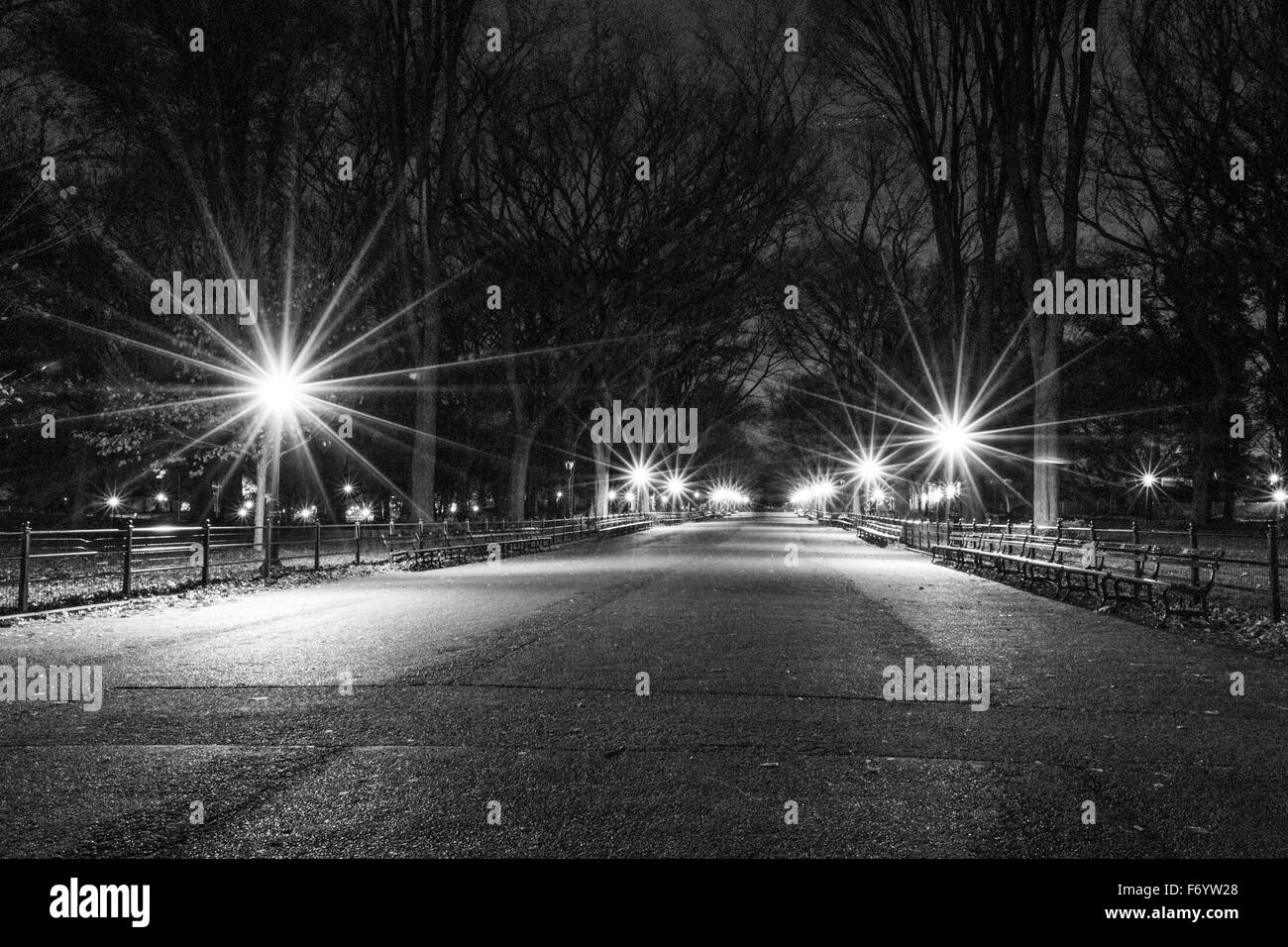 Le centre commercial situé au coeur de Central Park contient la plus grande collection d'ormes américains Banque D'Images