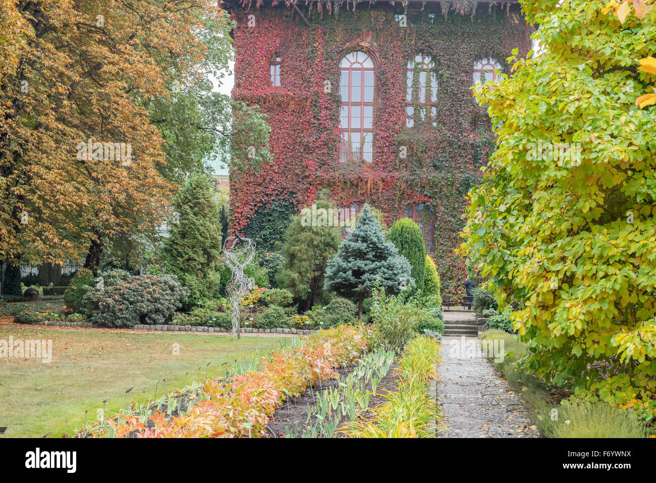 Jardins botaniques à l'automne coloré Wroclaw Banque D'Images