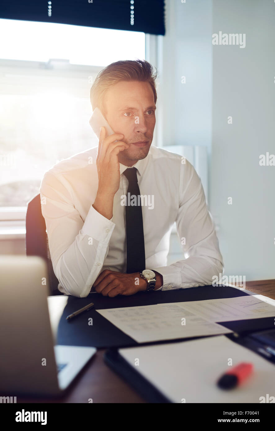 L'homme d'affaires d'avoir une conversation au téléphone à son bureau Banque D'Images