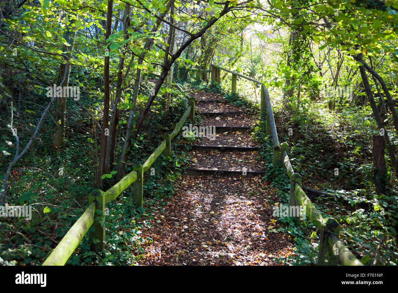 Camley Street Parc Naturel dans King's Cross, Londres, Angleterre Banque D'Images