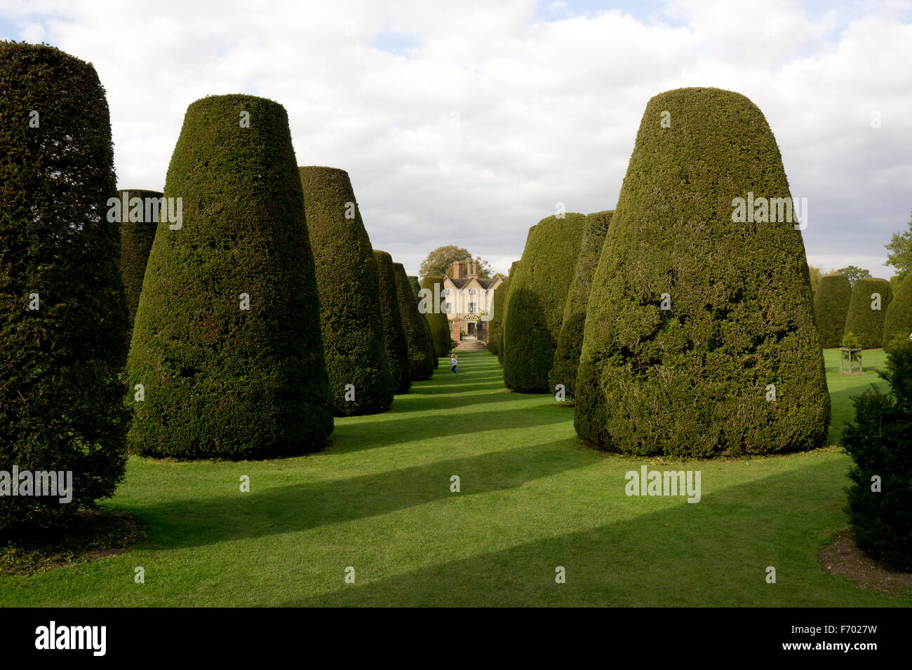 Tudor, cadre en bois Maison et jardin avec if. Banque D'Images