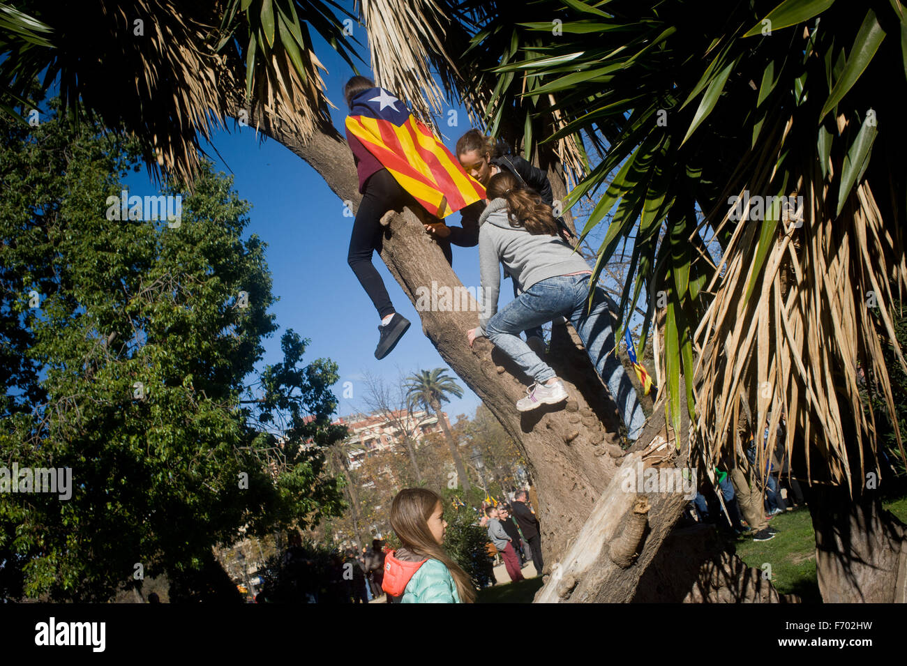 Les enfants de grimper à un arbre portant un drapeau estelada (symbole de l'indépendance catalane) à Barcelone. Banque D'Images