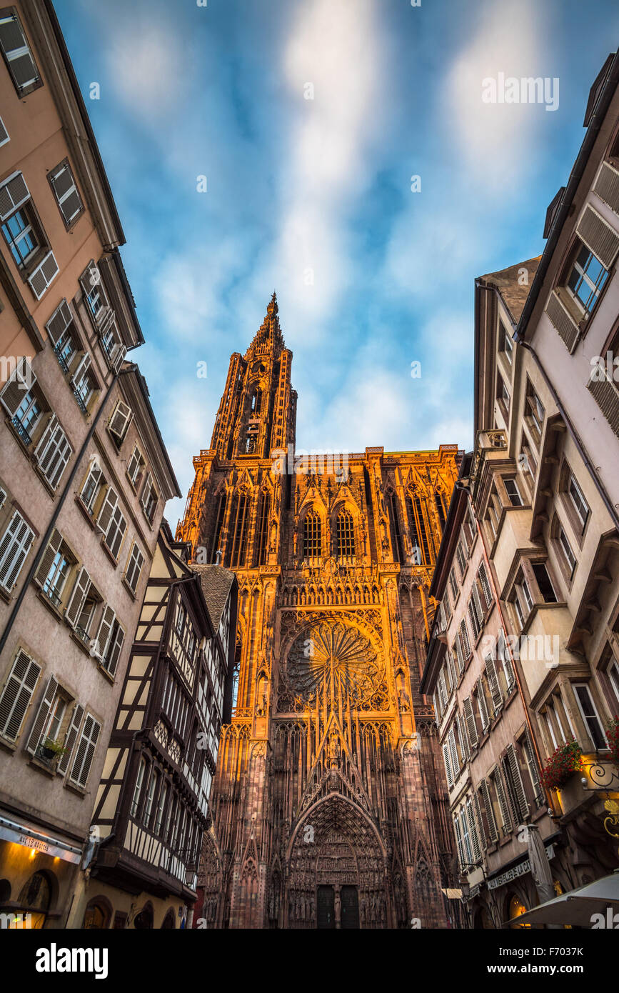 Cathédrale de Notre Dame de Strasbourg, Alsace, France Banque D'Images