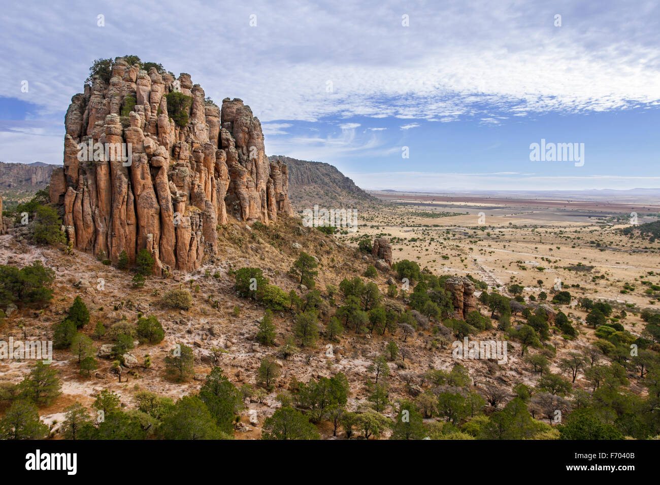 Sierra de Organos s'élève depuis les plaines de l'ouest de Zacatecas, au Mexique. Banque D'Images