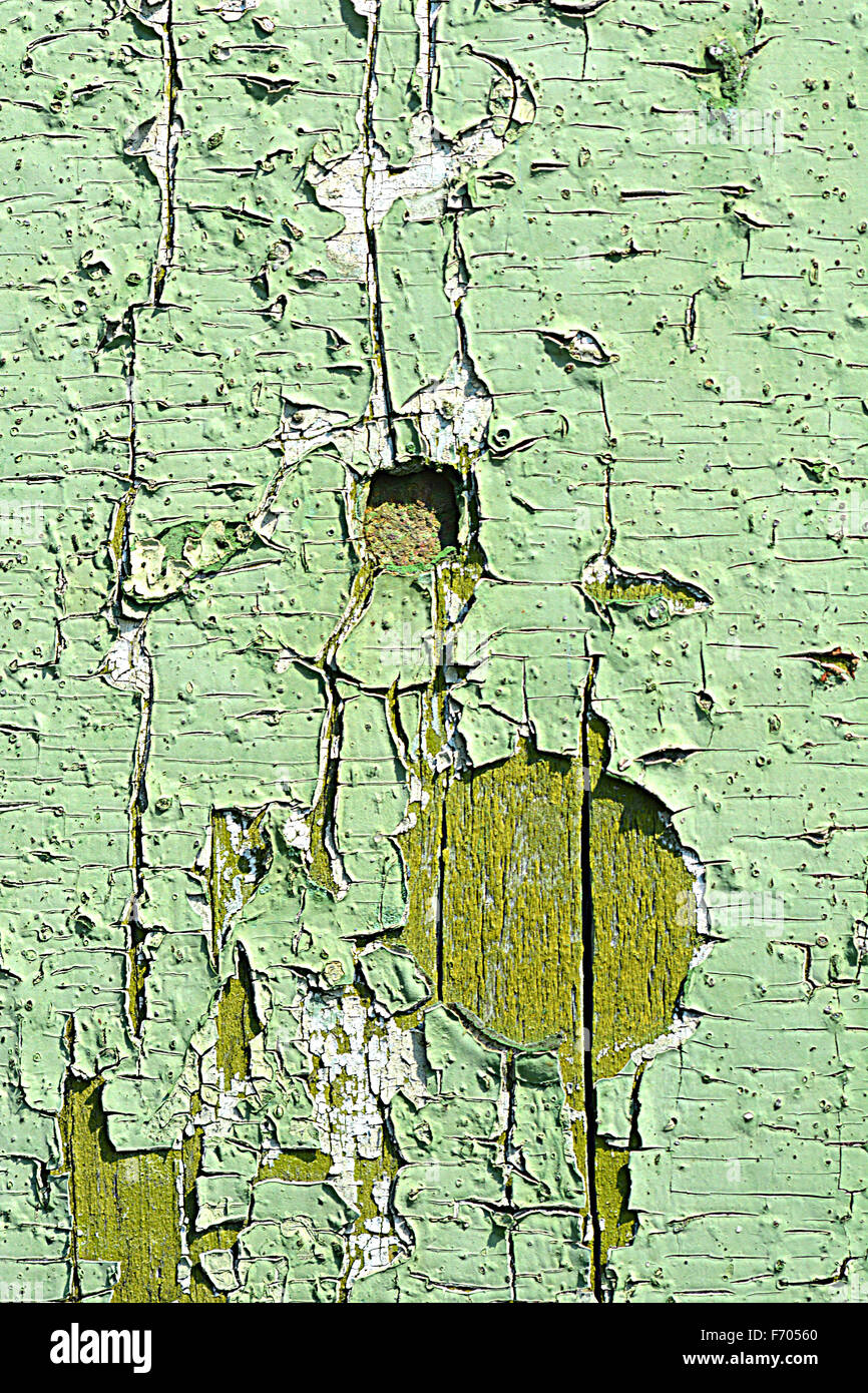 Fond de bois vert bois vert. old grunge background Banque D'Images