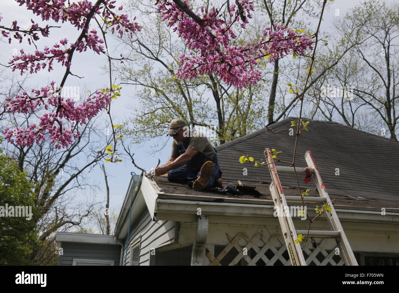 Trou fixe travailleur en toit de maison où un raton laveur mangé par le biais de la toiture, et mangé un trou à travers le toit. bricoleur, réparations de printemps Banque D'Images