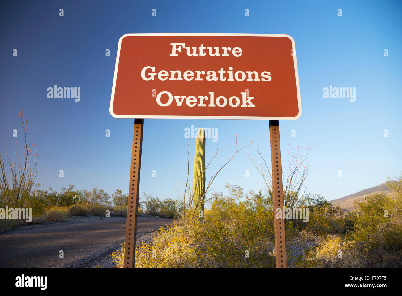 Arizona, Tucson, USA, le 9 avril 2015, donnent sur les générations futures, Saguaro National Park West, Arizona Banque D'Images