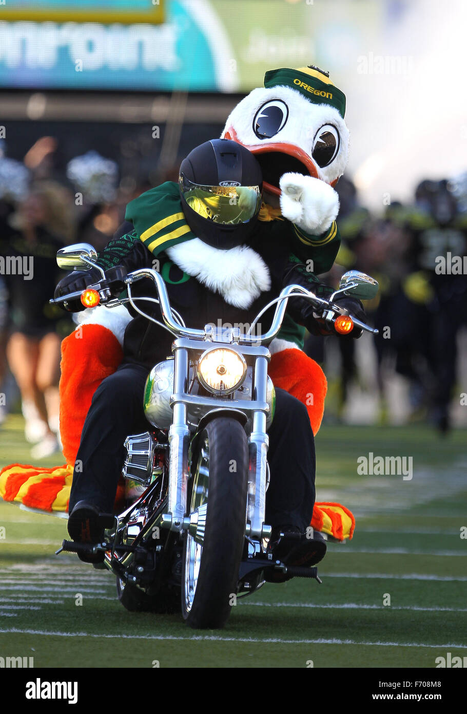 Autzen Stadium, Eugene, OR, USA. 21 Nov, 2015. L'Oregon tire son trajet habituel sur le terrain avant que la NCAA football match entre les canards et les USC Trojans à Autzen Stadium, Eugene, OR. Larry C. Lawson/CSM/Alamy Live News Banque D'Images