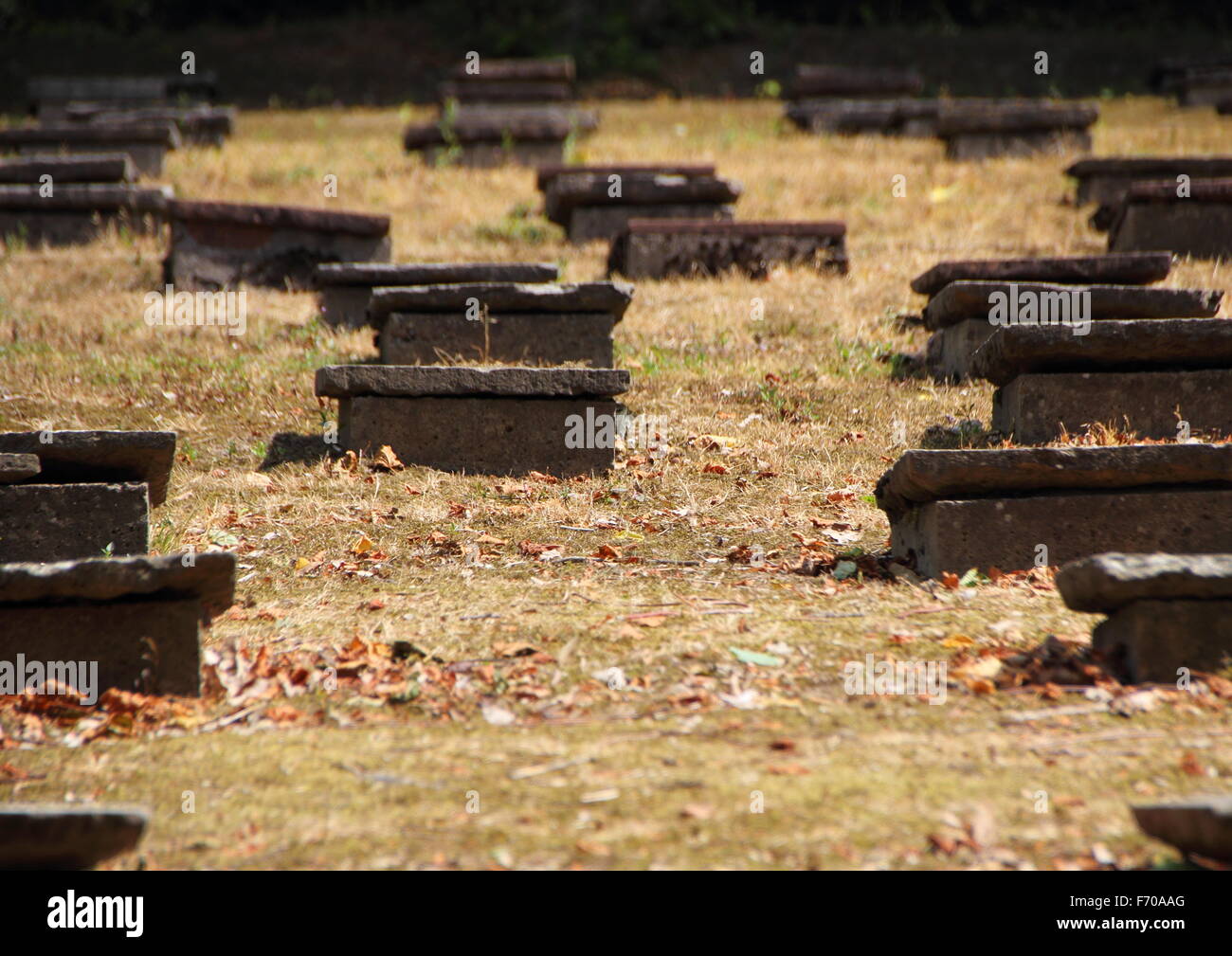 Pierres tombales dans l'ancien cimetière morave en rétro-éclairage Banque D'Images