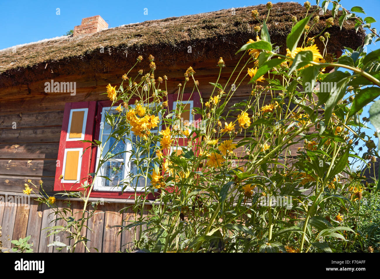 Le Musée de la campagne de Mazovie à Sierpc, Pologne. Ancienne chaumière paysanne en bois avec volets décoratifs. Banque D'Images