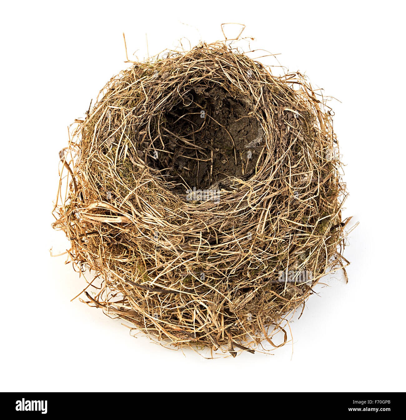 Vide Original Bird's Nest close-up isolé sur un fond blanc. Banque D'Images